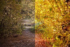 Image Enhancement Services